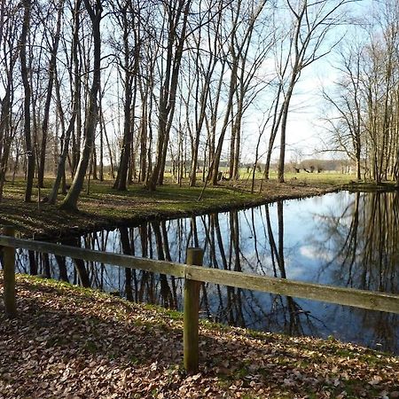 Appartamento Mueritzbrise 3 Ludorf Esterno foto