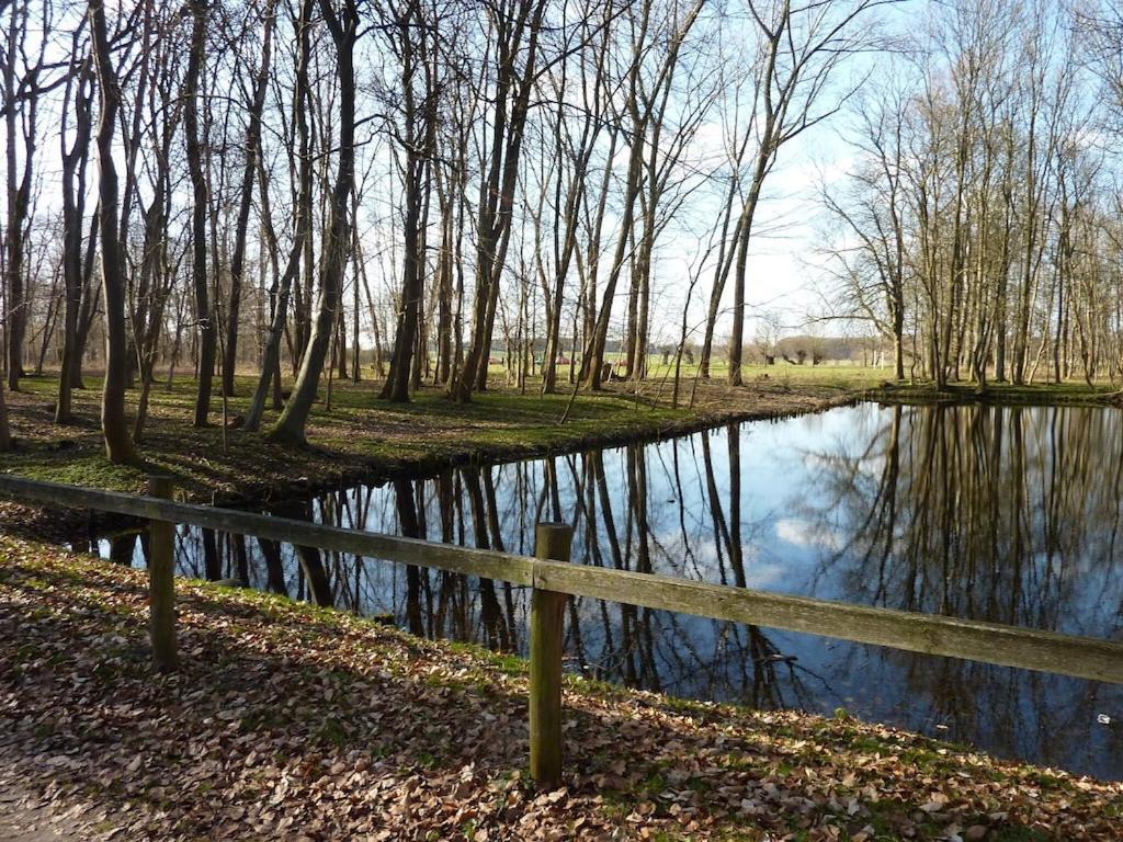 Appartamento Mueritzbrise 3 Ludorf Esterno foto